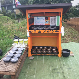 里山めだか 公園前のメダカ販売所 9/21 出店