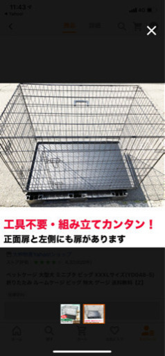 犬用品　取りに来られる方限定