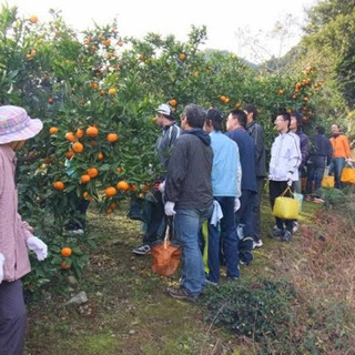 急募！追加求人です。