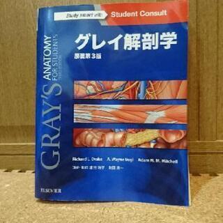 【ネット決済】グレイ解剖学　３版