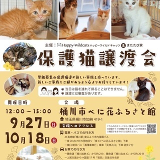 保護猫譲渡会☆樋川市 べに花ふるさと館（９／２７)の画像