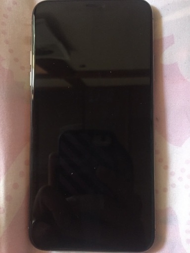iPhone11 Pro Max256