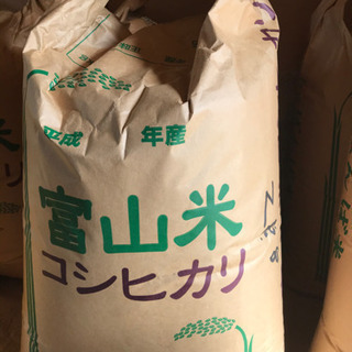 古米　富山米コシヒカリ　30kg