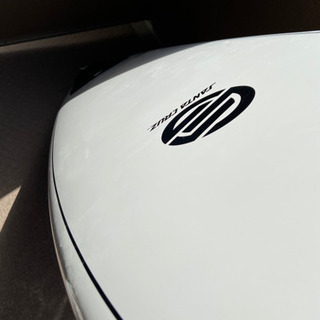 サンタクルーズ パンプキン サーフボード 6.2