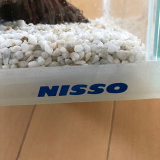 NISSO ガラス水槽　ガラスフタ付き　９月末まで‼️