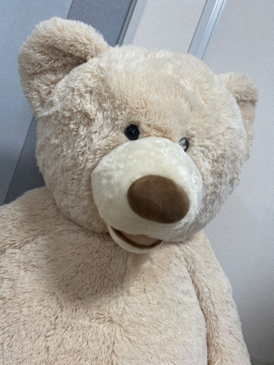 コストコくまぬいぐるみ約135 Roi 原の家具の中古あげます 譲ります ジモティーで不用品の処分