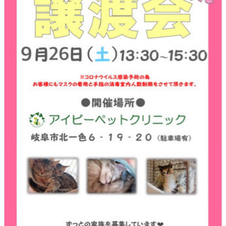 9/26 にゃんにゃん譲渡会