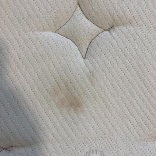 合計定価約33万円　サータ クイーンサイズマットレス & ニトリ クイーンサイズベッドフレーム