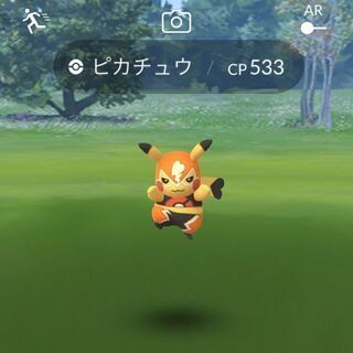 【ポケモンgo】フレンド募集🐱🐰【のんびり】