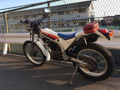 TLR250R　書類あり　トレッキングなどに TLR250R 書類あり トレッキングなどに