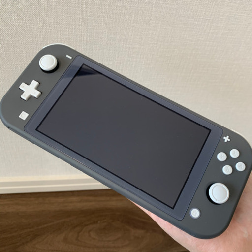 Switch lite グレー ポケモン セット Nintendo Switch Lite グレー