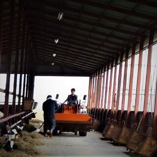 肉牛飼育スタッフ