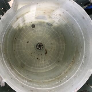 東芝8.0K洗濯乾燥機DDモーター　2015年製！！分解クリーニング済み！！！