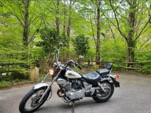 (商談中)限定値下げ　ヤマハ　ビラーゴ250　250cc バイクです