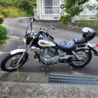 商談中)限定値下げ ヤマハ ビラーゴ250 250cc バイクです 【公式通販】