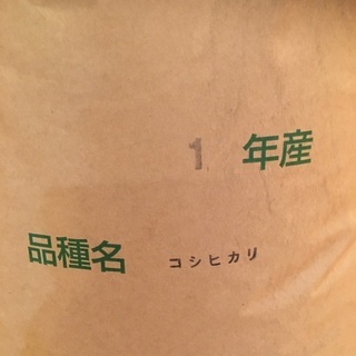 【ネット決済・配送可】古米　30kg
