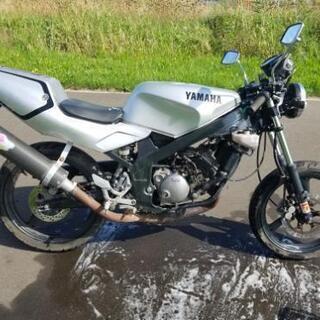 商談中!TZR50R　フルサイズ50CC　値引き!10万円～8万5千円