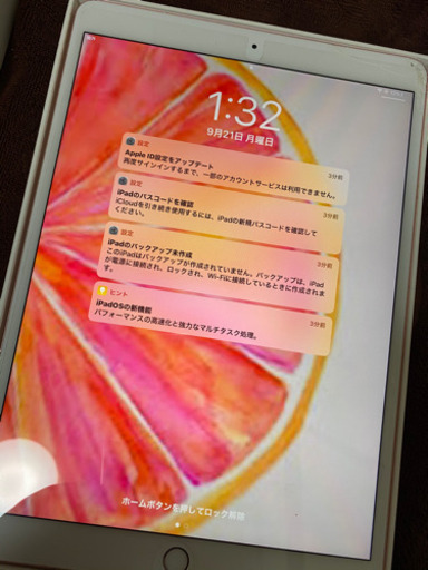 値下げ！iPadPro10.5インチ WiFi＋セルラーモデル 64GB | monsterdog