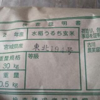 新米令和2年産東北194号(ささ結)玄米30Kg