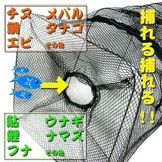 値下げ/フィッシング/魚捕り用網カゴ/漁具釣りにも/キャンプ/サ...