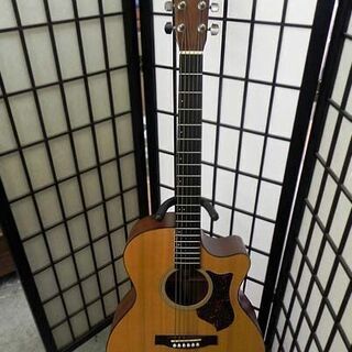 Martin マーチン エレアコギター GPCPA4 純正ハードケース付き Amazon | Martin GPCPA4/N エレアコギター (マーチン) | スチール弦