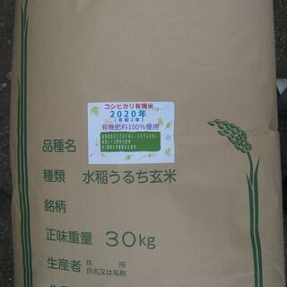 食品 令和2年有機米100％コシヒカリ玄米