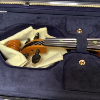 バイオリン　R.Paesold PA-801J.VN　セット − 神奈川県