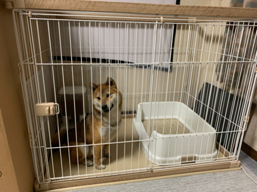 犬用ケージ 室内 | hudocentre.org