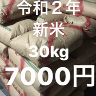 新米 30kg どんとこい米  お米