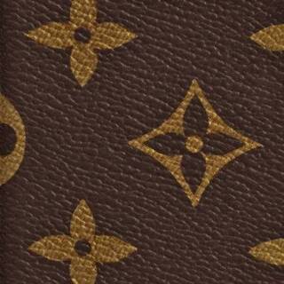 お買い得‼️入手困難‼️【日本完売コレクション品AW2020-21新作ルイヴィトン iPhoneケース】