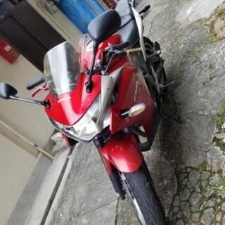 タイ製 CBR250 MC41 人気カラー bbxbrasil.com