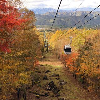 【急募】ハンターマウンテン塩原　紅葉ゴンドラ　リフトスタッフ