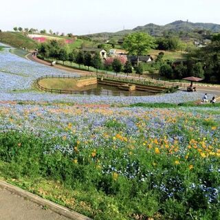 独身限定【太田市】お散歩ご飯（9/26 土 17:00〜）