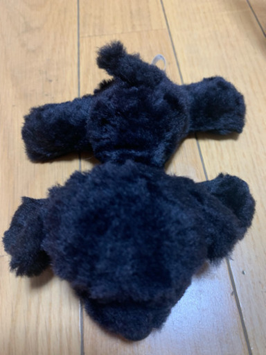 原宿キディランドで購入した犬のぬいぐるみ 黒 を格安でお譲りします ゆめか 新宿御苑前のその他の中古あげます 譲ります ジモティーで不用品の処分 原宿キディランドで購入した犬のぬいぐるみ 黒 を格安でお譲りします ゆめか 新宿御苑前のその他の中古あげます 譲ります ジモティーで不用品の処分
