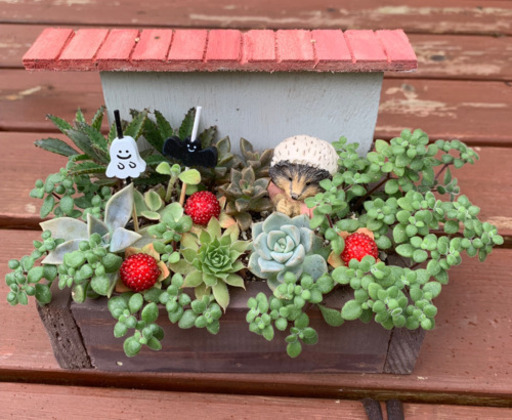 このまま飾れる ハロウィン多肉寄せ植え 手作り木製ハリネズミちゃんプランター みんみん 三ツ境の生活雑貨の中古あげます 譲ります ジモティーで不用品の処分 このまま飾れる ハロウィン多肉寄せ植え 手作り木製ハリネズミちゃんプランター みんみん 三ツ境の生活雑貨の中古あげます 譲ります ジモティーで不用品の処分