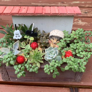 このまま飾れる ハロウィン多肉寄せ植え 手作り木製ハリネズミちゃんプランター みんみん 三ツ境の生活雑貨の中古あげます 譲ります ジモティーで不用品の処分