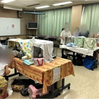 10月17日 土 猫の譲渡会 名古屋市港区 名古屋競馬場会館 みなと猫の会 主催 みなと猫の会 名古屋競馬場前のその他のイベント 参加者募集 無料掲載の掲示板 ジモティー