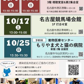 10月17日(土) 猫の譲渡会 名古屋市港区 名古屋競馬場会館 みなと猫の会 主催  - イベント