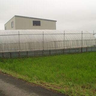 農業用ビニールハウス　４間×10間