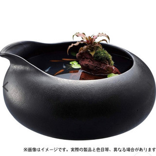 【新品】ＧＥＸ　和の鴨口陶器鉢　墨黒＋メダカ3匹＋浮き草