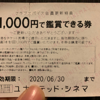 1,000円で鑑賞できる券