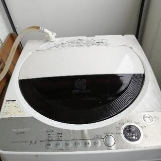 洗濯機5.5kg差し上げます❗謝礼1000円あげます