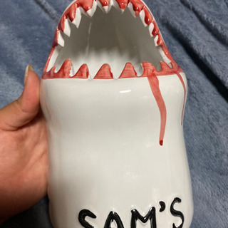 SAM’S ジョーズ　サメ