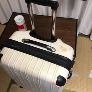 ｐｏｌｙａｎｔｈａ　スーツケース