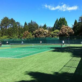 🎾テニスやりましょう🎾