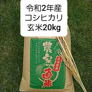 コシヒカリ玄米売ります