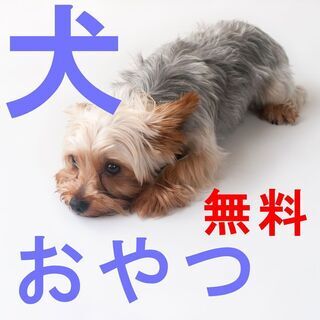 【無料・送料のみ】犬おやつ・ドッグフード