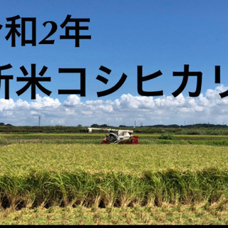 令和2年　新米コシヒカリ　10kg   他対応あります❗️