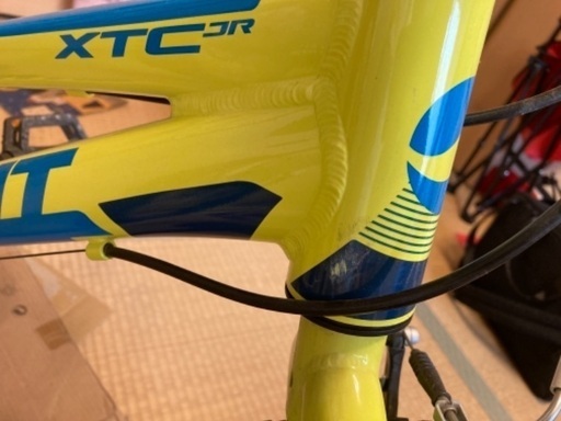 GIANT XTC JR 20 室内保管 【公式通販】