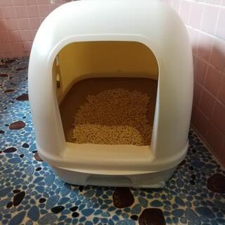 猫のトイレ。状態良し